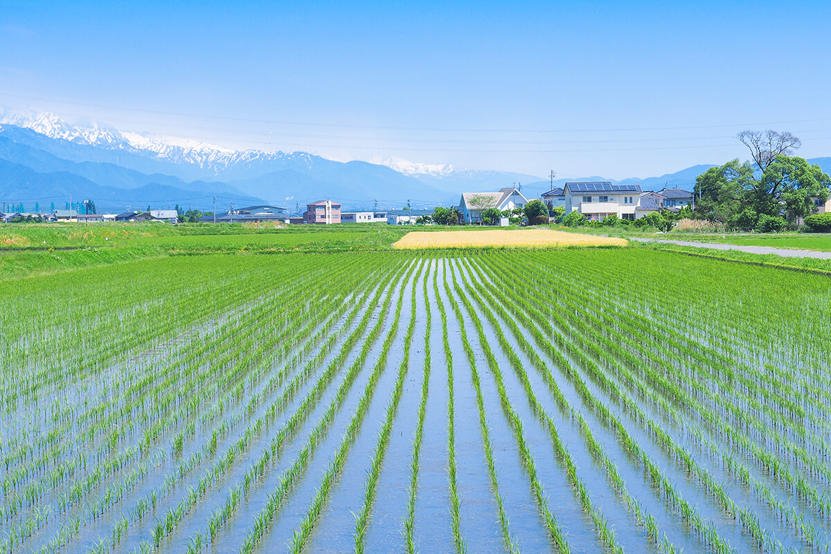 親族から受け継いだ田んぼを売却したい